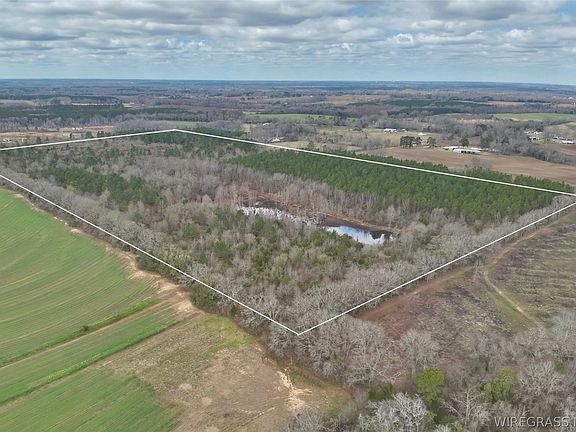 5th image of 86/ACRE S New Hinson Rd