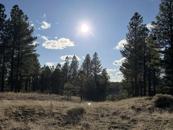 4870 E Gandalf Ln, Flagstaff, AZ 86004