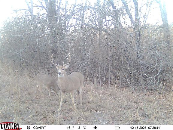4th image of 0 N 3875th Rd