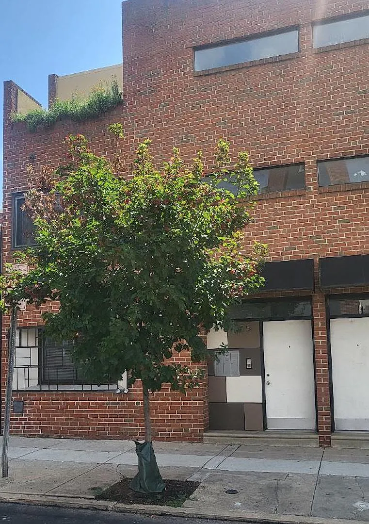 2 bed, 1050 sqft, $2,600 — Photo 2