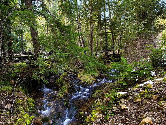 3rd image of Nka Philips Draw Rd