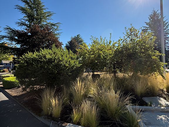 Front landscaping for privacy.