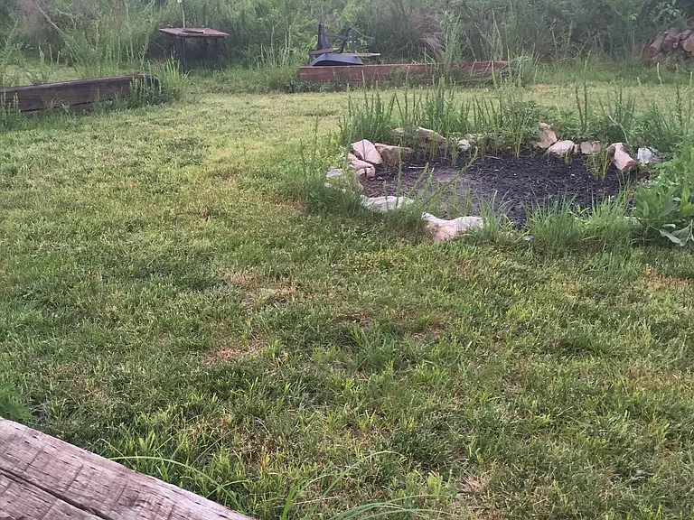8183 Coley Davis Rd — Photo 12