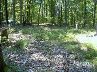 1183 Big Sandy Rd, Left Hand, WV 25251