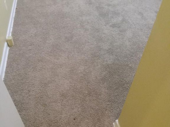 3rd image of 3238 Olsen Dr