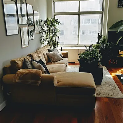 Rented by Voro NYC | media 2