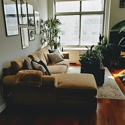 Rented by Voro NYC