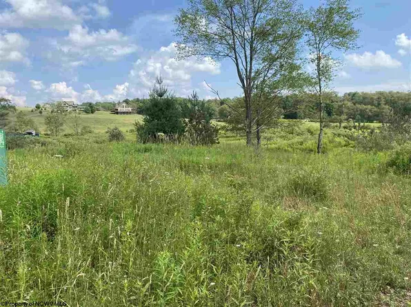 50 Mountainview Dr, Davis, WV 26260