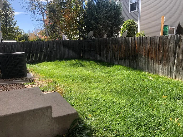 Fenced in backyard
