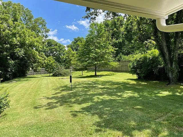 Private, flat, beautiful--a safe playing area for children or pets. (center perspective from back porch)