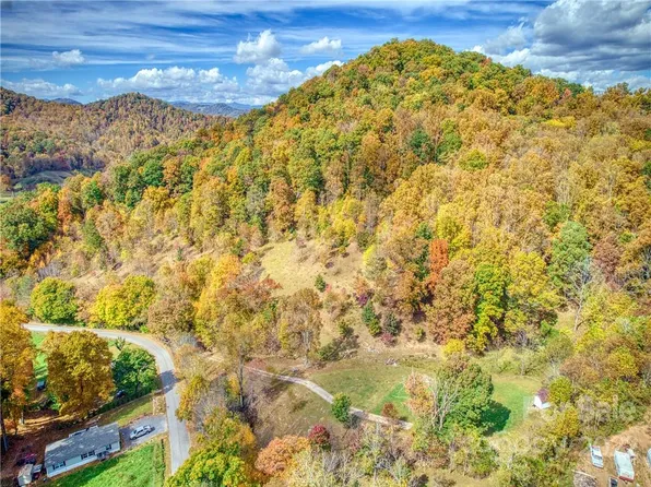 421 Bunny Run Rd, Canton, NC 28716