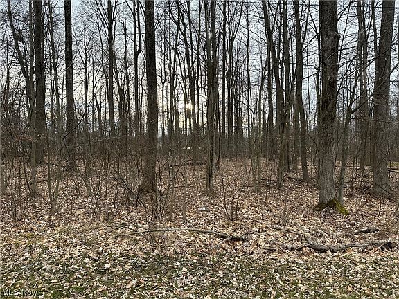 5th image of 2002 Flame Lake Dr