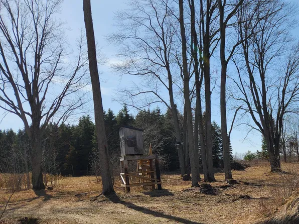 N Sherman Rd, Lake, MI 48632