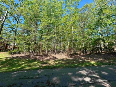 386 Windwood Point, Counce, TN, 38326