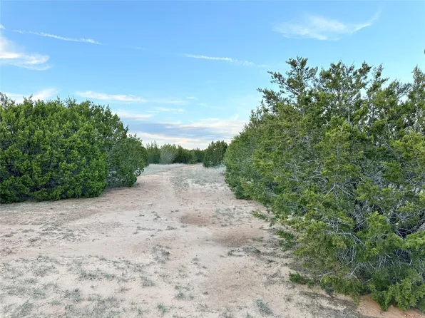 County Road 184, Ovalo, TX 79541