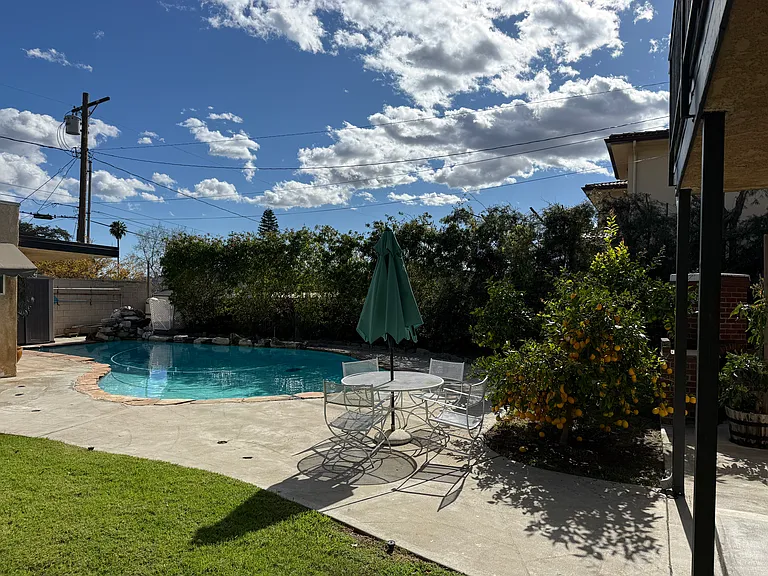 Backyard with grass area, pool, patio furniture and umbrella, avocado and lemon trees.