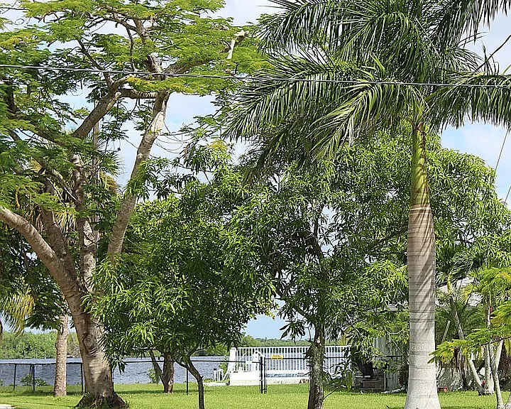 E Riverside Dr — Photo 16