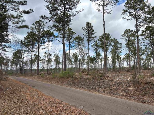 County Road 3665, Queen City, TX 75572