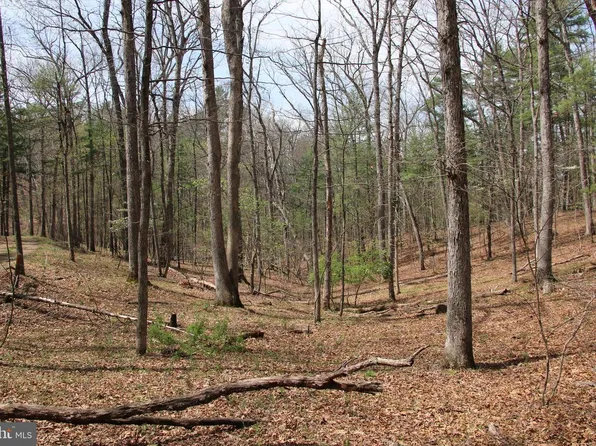 Hodges Ln Lot 12, Winchester, VA 22603