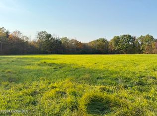 L341 Millers Corners Rd, Delanson, NY 12053