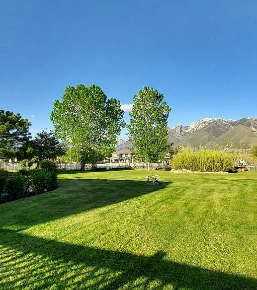 12937 S Browns Pond Cv #2 — Photo 5