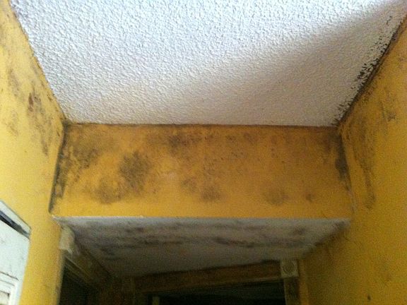 3rd image of 9460 Fountainbleau Blvd APT 133