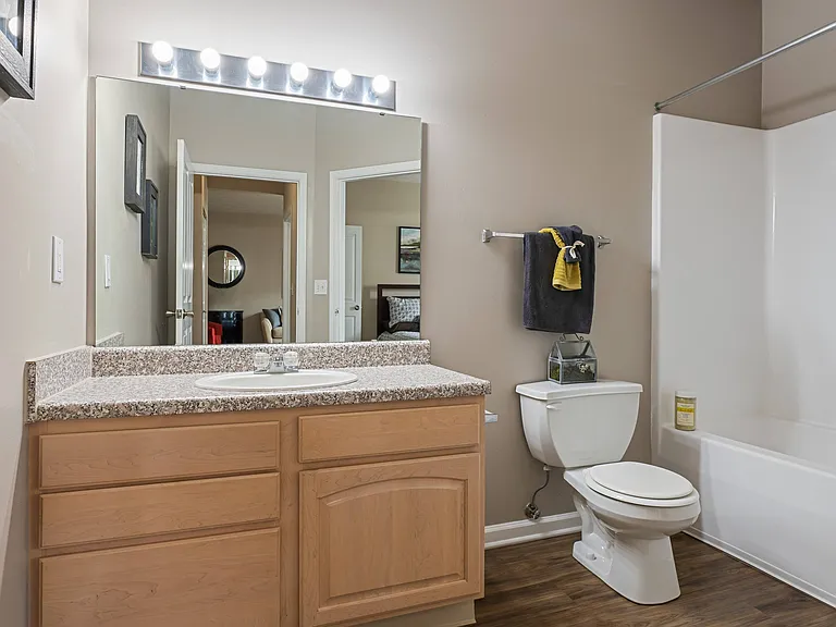 Full Bathroom with Vanity-Style Lighting