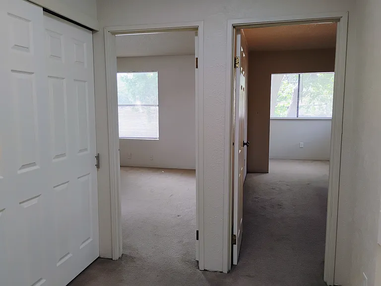 1579 Hooker St #B — Photo 12