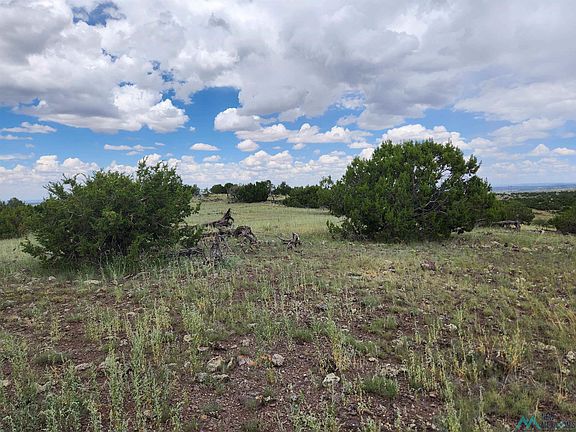 3rd image of Cimarron Dr