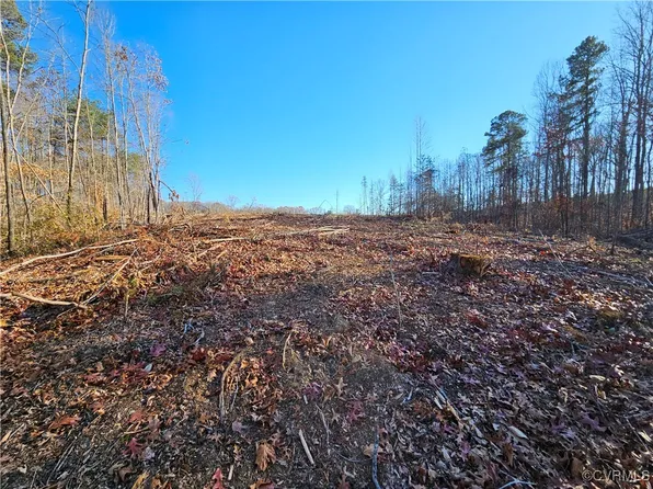 Shelton Store Rd, Wingina, VA 24599