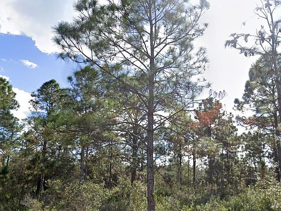 4th image of 307 PLUMOSA DRIVE LOT 21