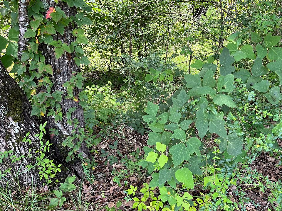 2nd image of 1401 Pridmore Rd