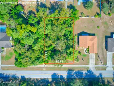 12637 N Linden Dr, Spring Hill, FL, 34609