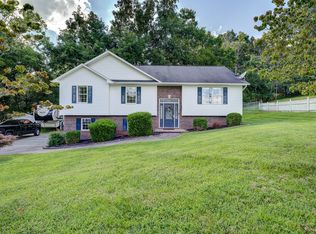 252 Mountain View Dr, Mt Carmel, TN 37645