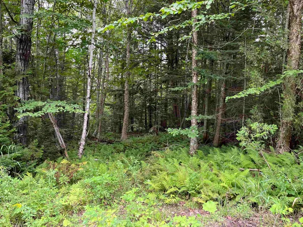 315 Mud Road, Charleston, VT 05872
