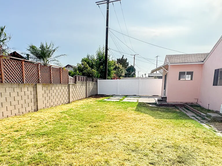 Backyard