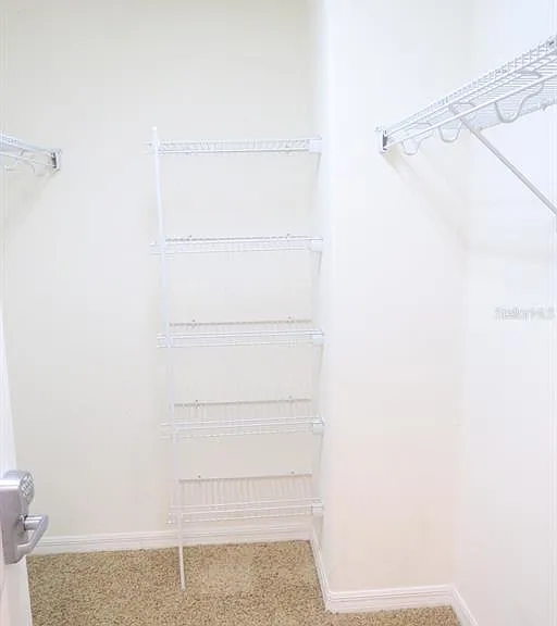 12029 Citruswood Dr — Photo 17