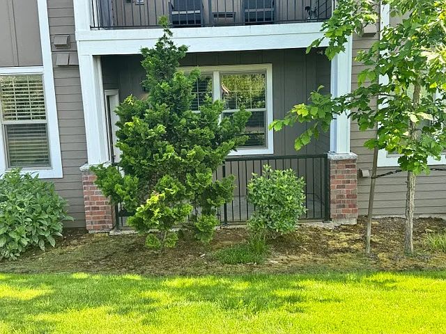 1 bed, 670 sqft, $1,549 — Photo 3