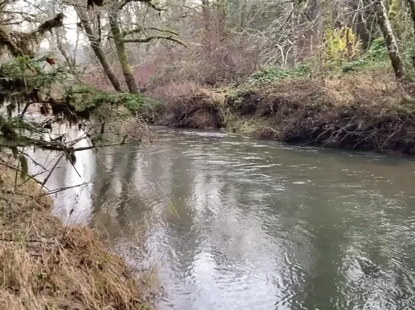 SW Hebo Rd, Willamina, OR 97347