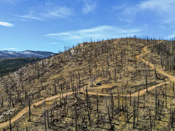 3600 Moondance Way, Bellvue, CO 80512