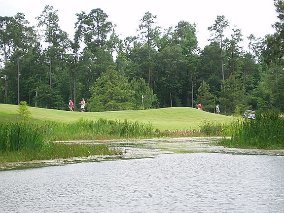 5th image of 3 Fazio Way