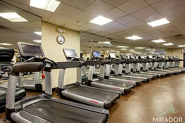 Rented by Mirador Real Estate