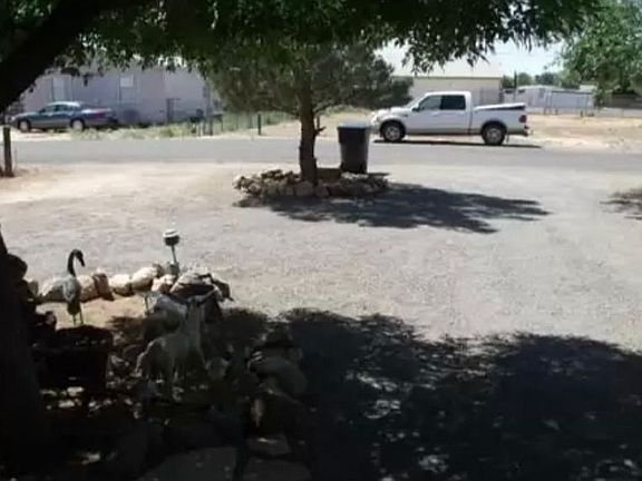 View of frontyard from porch