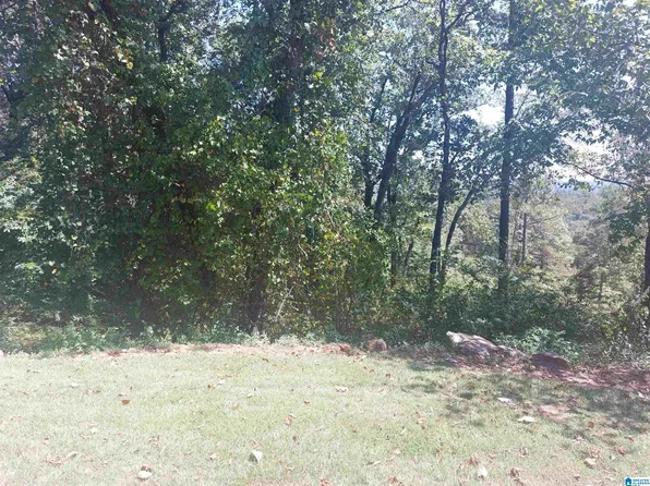 1000 Grand Oaks Dr Lot 55, Bessemer, AL 35022