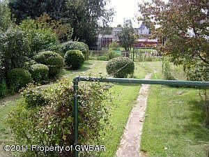 Back yard