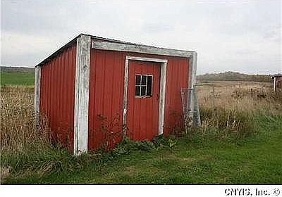 Shed