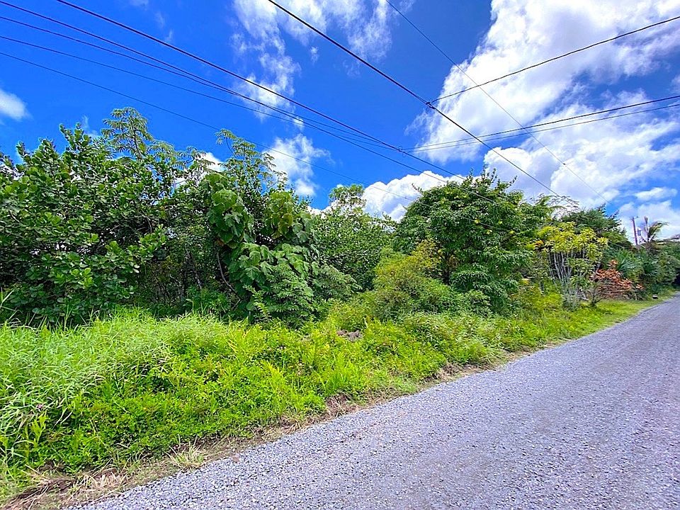 1st image of 2nd Avenue Aloe Lot 1474