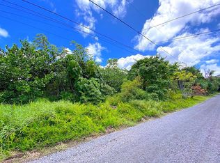 2nd Avenue Aloe, Keaau, HI 96749