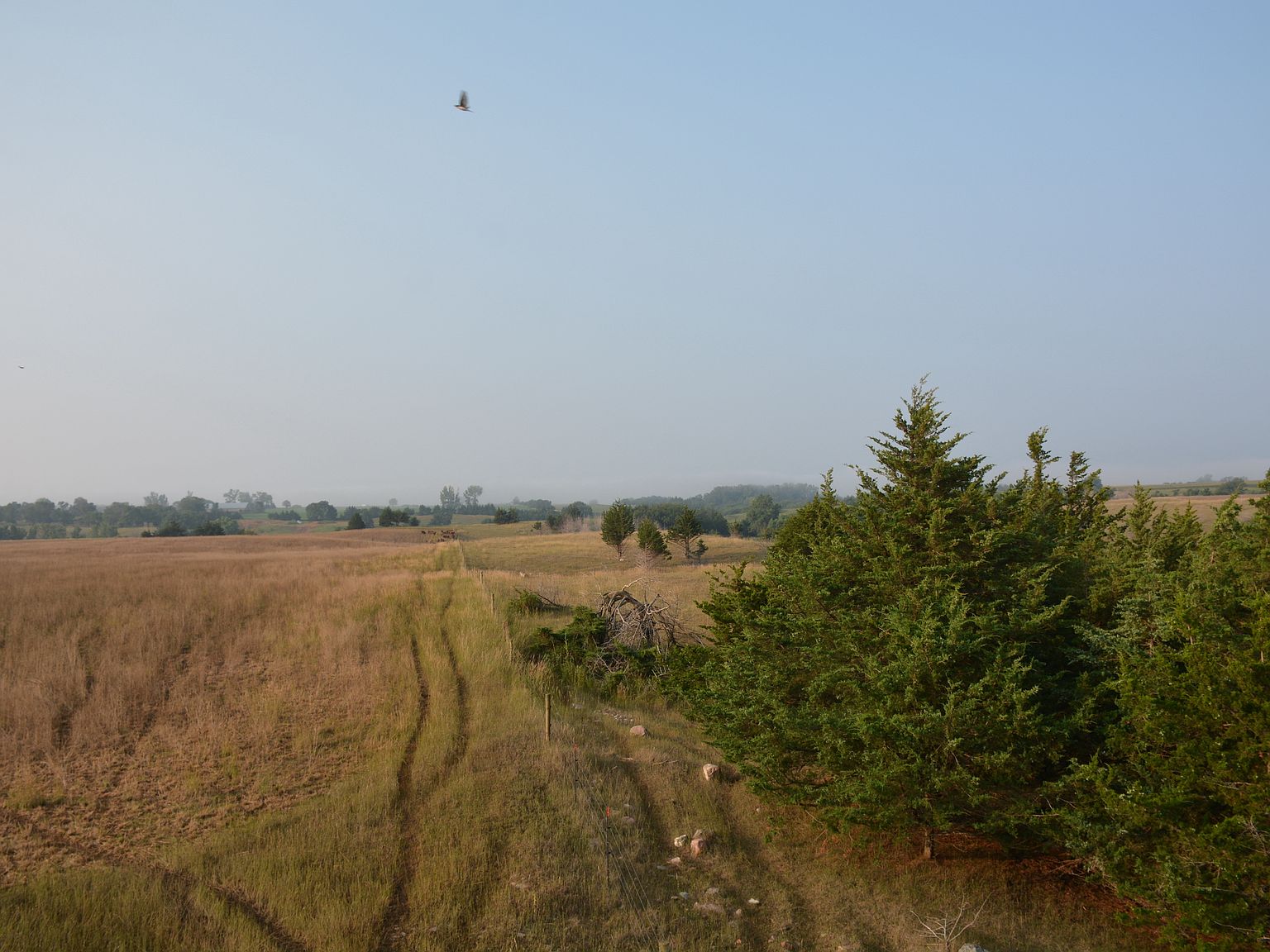 Bluff Rd LOT WP002, Volin, SD 57072 Zillow