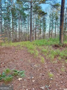 168 Faulkner Rd, Waco, GA, 30182